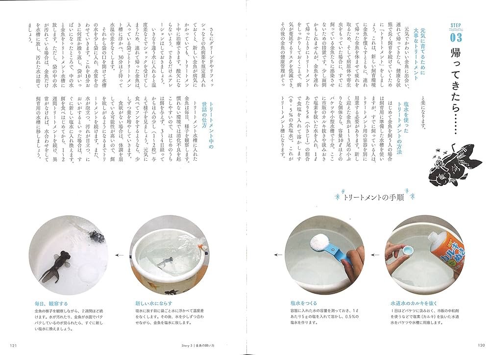 きんぎょページ Amazon.com: A crushing goldfish picture book (Tokimeku